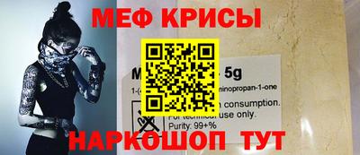 ГАЛЛЮЦИНОГЕННЫЕ ГРИБЫ Кингисепп