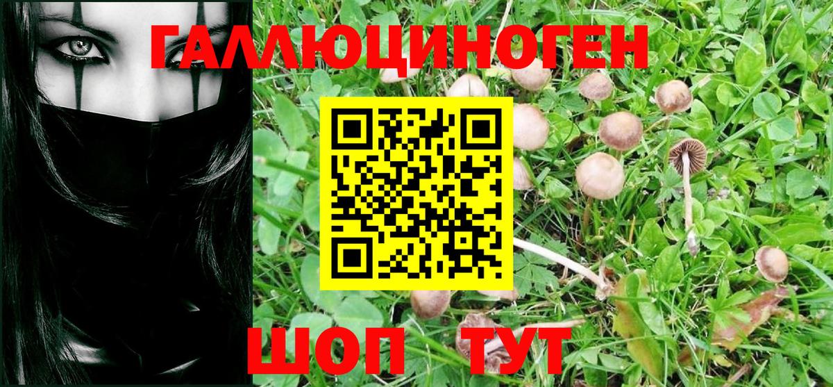 Псилоцибиновые грибы ЛСД  Псилоцибиновые грибы Psilocybe  Вход с VPN  купить наркотики сайты  Заволжье 